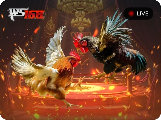 TIP88 Đá Gà Livestream