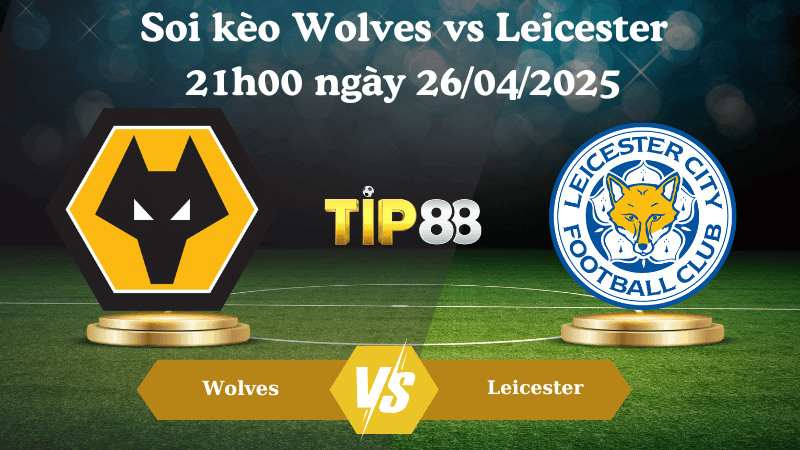 TIP88 Nhận định soi kèo Wolves vs Leicester 21h00 ngày 26/04/2025 - Ngoại hạng Anh