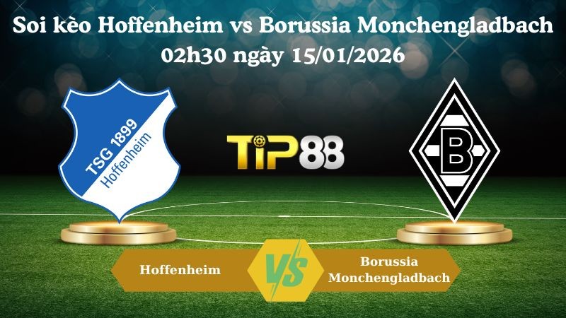 TIP88 Nhận định soi kèo Hoffenheim vs Borussia Monchengladbach 02h30 ngày 15/01/2026 - Bundesliga