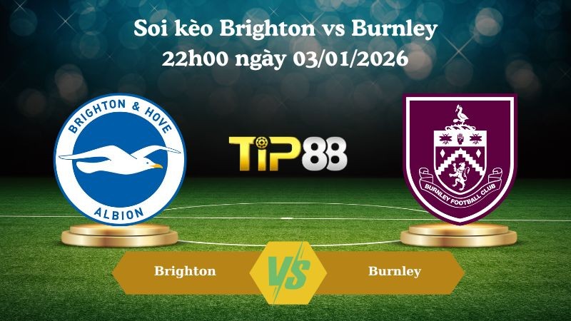 TIP88 Nhận định soi kèo Brighton vs Burnley 22h00 ngày 03/01/2026 – Ngoại hạng Anh