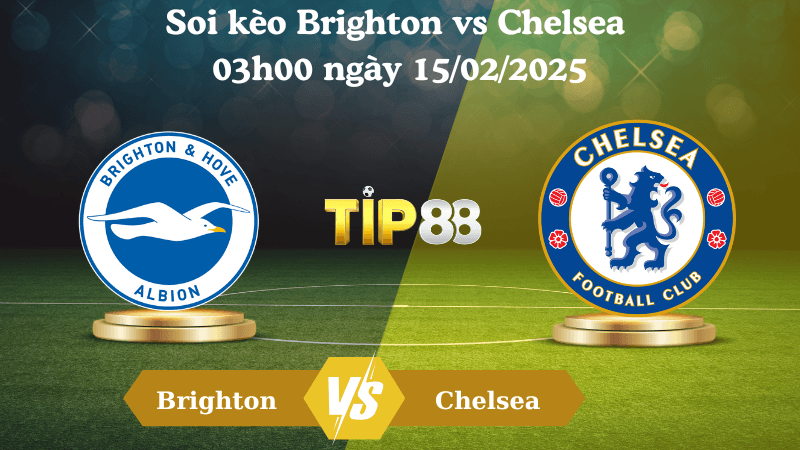 TIP88 Nhận định soi kèo Brighton vs Chelsea 03h00 ngày 15/02/2025 - Ngoại Hạng Anh
