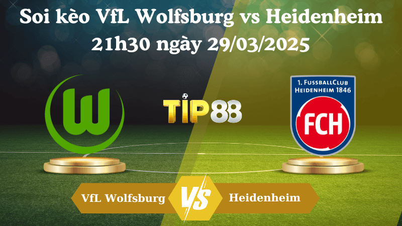 TIP88 Nhận định soi kèo VfL Wolfsburg vs Heidenheim 21h30 ngày 29/03/2025 - Bundesliga