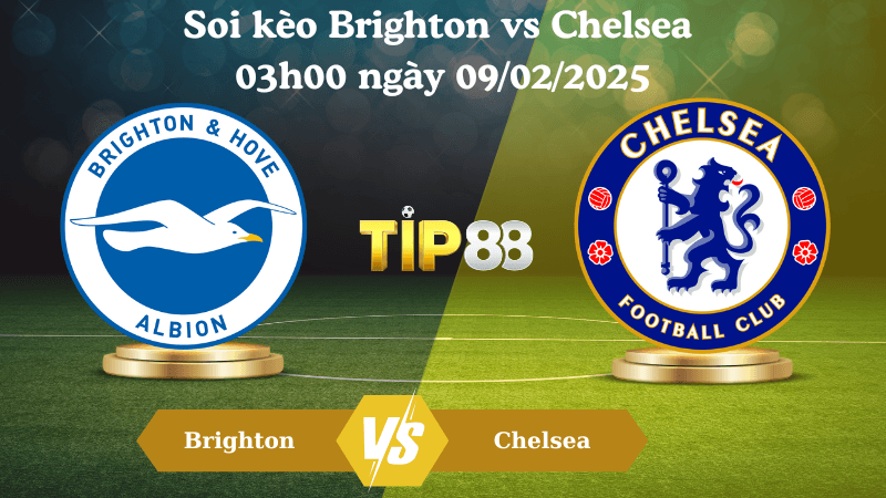 TIP88 Nhận định soi kèo Brighton vs Chelsea 03h00 ngày 09/02/2025 - FA Cup