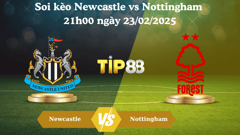 TIP88 Nhận định soi kèo Newcastle vs Nottingham 21h00 ngày 23/02/2025 - Ngoại Hạng Anh