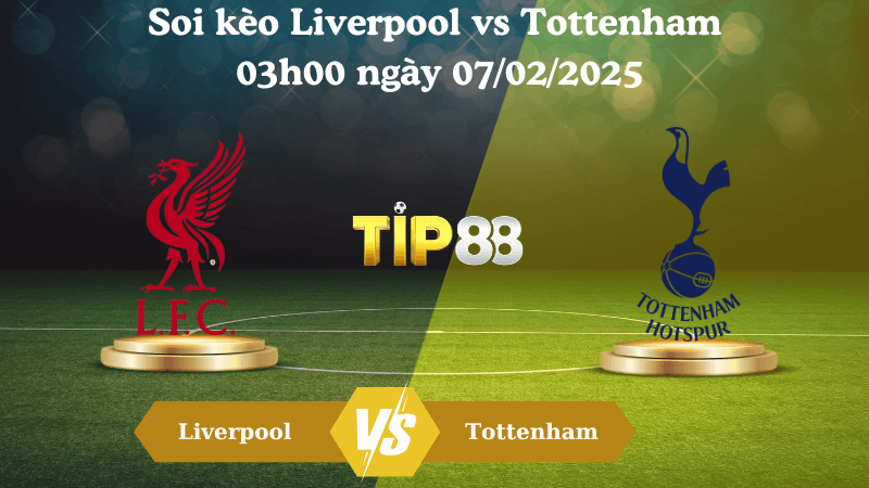 TIP88 Nhận định soi kèo Liverpool vs Tottenham 03h00 ngày 07/02/2025 - League Cup
