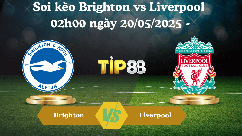 TIP88 Nhận định soi kèo Brighton vs Liverpool 02h00 ngày 20/05/2025 - Ngoại hạng Anh