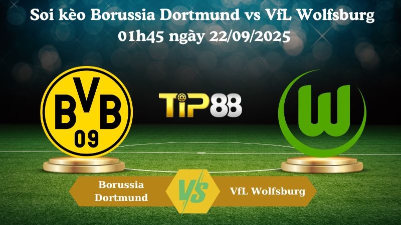 TIP88 Nhận định soi kèo Borussia Dortmund vs VfL Wolfsburg 01h45 ngày 22/09/2025 – Bundesliga