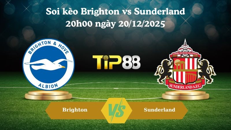TIP88 Nhận định soi kèo Brighton vs Sunderland 20h00 ngày 20/12/2025 – Ngoại hạng Anh