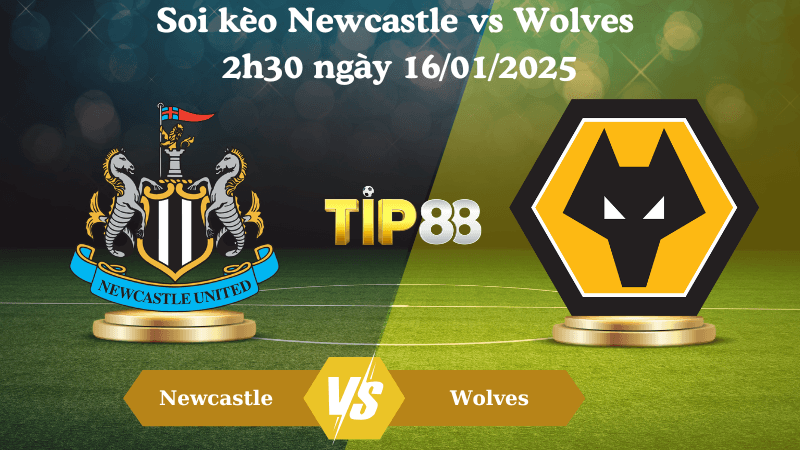 TIP88 Nhận định soi kèo Newcastle vs Wolves 2h30 ngày 16/01/2025 - Premier League