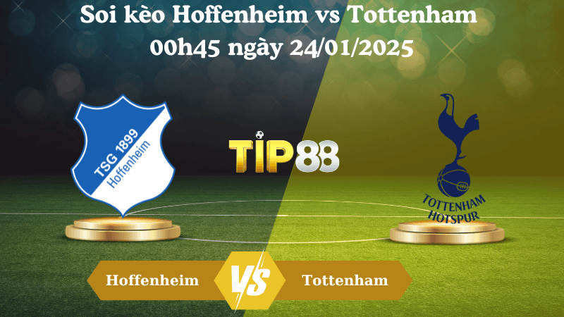 TIP88 Nhận định soi kèo Hoffenheim vs Tottenham 00h45 ngày 24/01/2025 - Europa League
