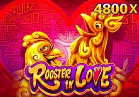 TIP88 Rooster In Love