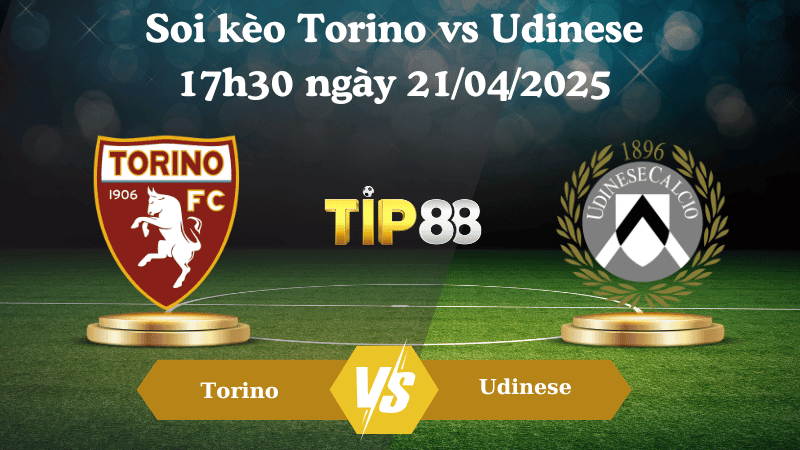 TIP88 Nhận định soi kèo Torino vs Udinese 17h30 ngày 21/04/2025 - Serie A