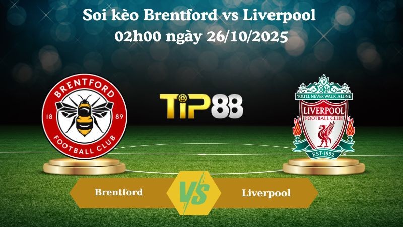 TIP88 Nhận định soi kèo Brentford vs Liverpool 02h00 ngày 26/10/2025 – Ngoại hạng Anh