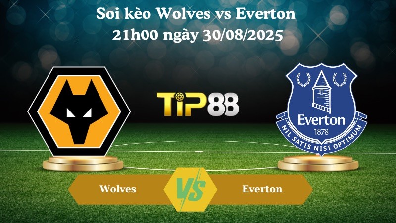 TIP88 Nhận định soi kèo Wolves vs Everton 21h00 ngày 30/08/2025 – Ngoại Hạng Anh