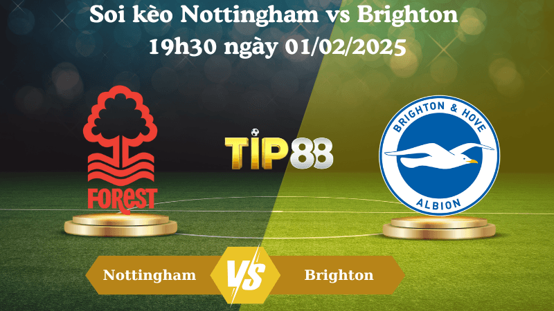 TIP88 Nhận định soi kèo Nottingham vs Brighton 19h30 ngày 01/02/2025 - Ngoại Hạng Anh